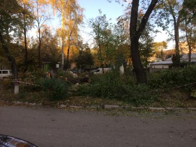 Прикрепленное изображение: IMG_0883.JPG